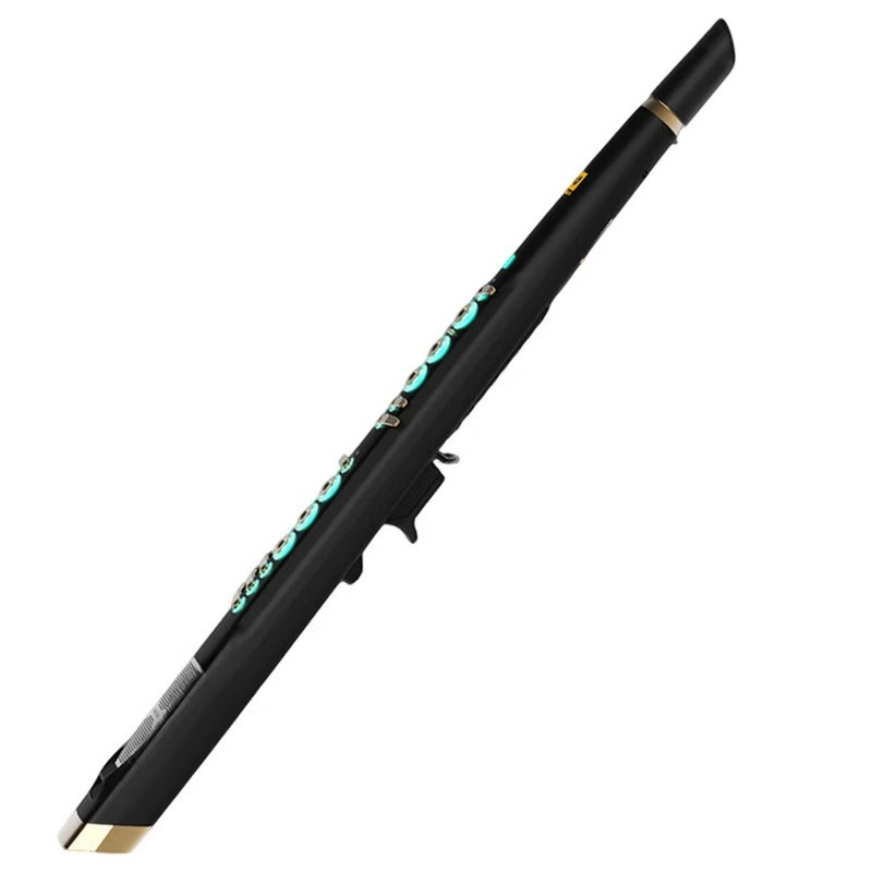 Musical Instrument You Blow Into - C20 true sampling, domowy, wysokiej klasy,