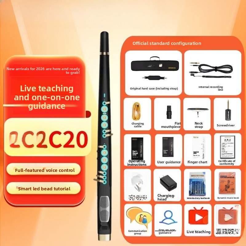 C20 true sampling, domowy, wys – Musical Instrument You Blow Into recenzja i cena