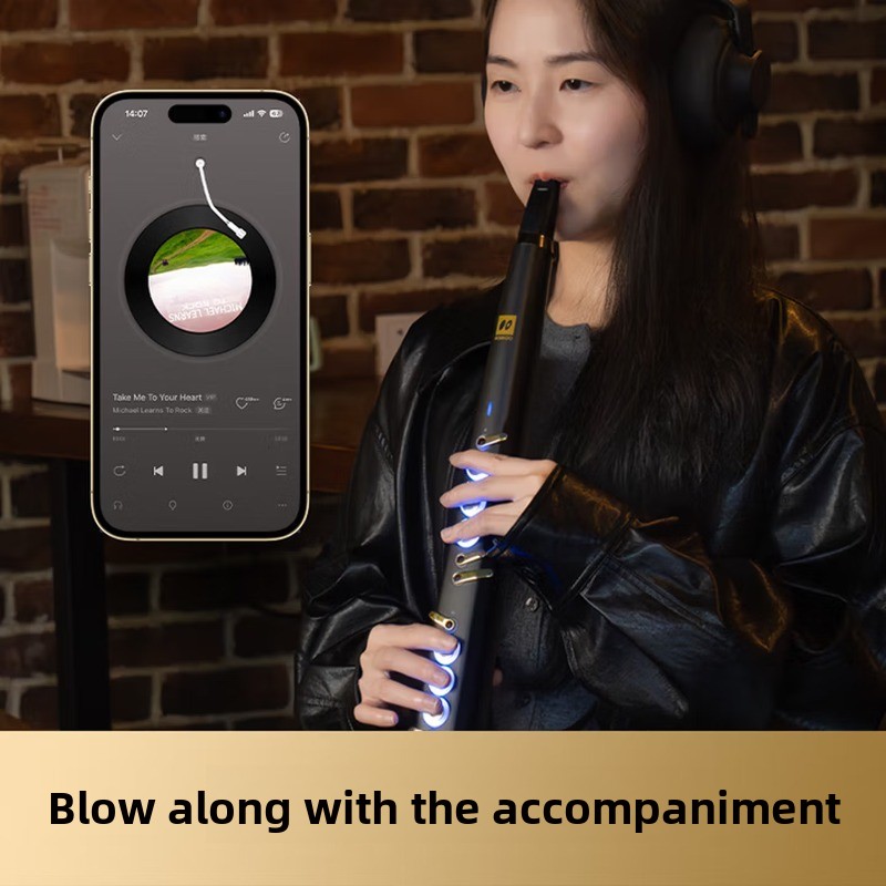 C20 true sampling, domowy, wys – Musical Instrument You Blow Into recenzja i cena
