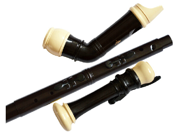 Profesjonalny 8 otworów baroko – Musical Instrument A Recorder recenzja i cena