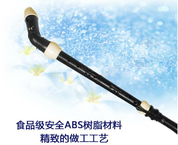 Profesjonalny 8 otworów baroko – Musical Instrument A Recorder recenzja i cena