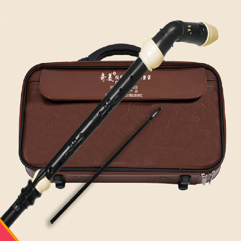Profesjonalny 8 otworów baroko – Musical Instrument A Recorder recenzja i cena